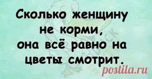 Самые смешные анекдоты и шутки на злобу дня Послушать веселые истории любят  многие, но интереснее, когда штука состоит из нескольких коротких фраз.  Короткие анекдоты просто и лаконично выражают авторскую мысль, при этом