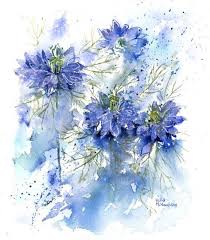 Rachel Mcnaughton 515 Love In A Mist Jpg Flower Painting Floral Watercolor Watercolor Flowers