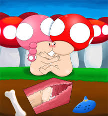 Toad and toadette kissing