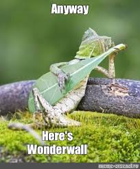 Meme Anyway Here S Wonderwall All Templates Meme Arsenal Com