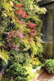 Pin By Clair Smith On Om Side Yards Live Plants Vertical Garden Plant Wall