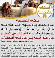 About press copyright contact us creators advertise developers terms privacy policy & safety how youtube works test new features press copyright contact us creators. Ø³Ù„Ø³Ù„Ø© Ø¨Ø·Ø§Ù‚Ø§Øª Ø£Ø­ÙƒØ§Ù… Ø§Ù„Ø£Ø¶Ø­ÙŠØ© ØªØ¬Ù…Ø¹ Ø¯Ø¹Ø§Ø© Ø§Ù„Ø´Ø§Ù…