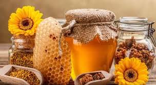 Описание препарата прополиса настойка (propolis tinctura). Trei Beneficii NeÈtiute Ale Tincturii De Propolis AjutÄ Organismul Intr Un Mod Eficient