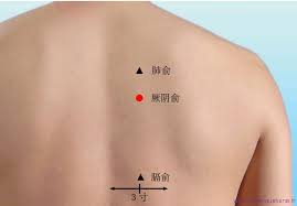 Le Point Jue Yin Shu Du Meridien De La Vessie 14v Dietetique Chinoise Et Tuina En 2020 Medecine Chinoise Le Point Acuponcture