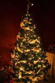 Ribbons And Lights For Live Christmas Tree Decorating Ribbon On Christmas Tree Christmas Tree Decorations Christmas Tree