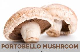 Browse all portobello mushroom recipes. Portobello Facts Health Benefits And Nutritional Value