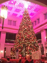 5 Must See Christmas Trees In Downtown Chicago Chicago Christmas Chicago Christmas Tree Christmas Background