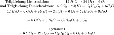 Finden sie alle bücher von. Photosynthese