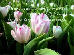 Quotes Saying On Love Marriage Tulips Flowers Tulips Flowers