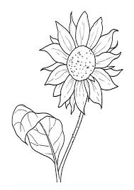Coloring Pages Sunflower Coloring Pages For Kids 500+ vectors, stock photos & psd files. sunflower coloring pages for kids