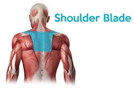 We did not find results for: Shoulder Blade Pain Fajar Magazine