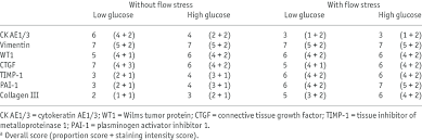 Most tumors arise from the pleura, . Immunohistochemical Data A For The Cultured Mesothelial Cells Download Table