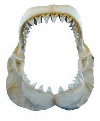 Cena ccccccc Ultimate Seduction - Valeria Valois Captivates CamWhores Souls