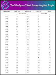 Circumstantial Fetus Weight Fetal Weight Chart Kg Seven