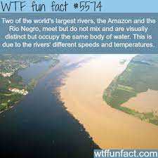 Pin On Life Hacks And Facts