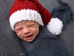 Little Fawn Photography