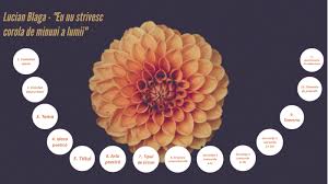 We did not find results for: Eu Nu Strivesc Corola De Minuni A Lumii By Stefania Andrei