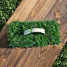Zoysia is a hardy grass that requires less water than other grasses. Sodpods Zoysia Grass Plugs 32 Count Natural Affordable Lawn Improvement Spzo32 The Home Depot