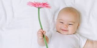 Check spelling or type a new query. Nama Bunga Dalam Bahasa Jepang Untuk Inspirasi Nama Bayi