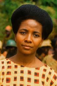 Deconstructing Helene Cooper's The House at Sugar Beach. By Dr. Robtel  Pailey Helene Cooper's memoir, The House at Sugar Beach, is an account  about dichotomies, race, class, and the African psyche in