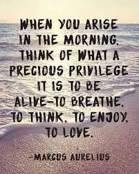 25 Inspirational Quotes To Remind You That Life Is Beautiful Self Quotes Marcus Aurelius Quotes Positive Quotes