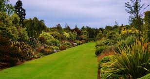100m Long Double Borders Of Nz Native Plants Broadfield Nz Landscape Garden Canterbury New Zealand Garden Landscape Design Native Garden Garden Ideas Nz