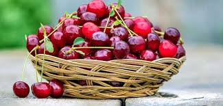 Czereśnie mają liczne właściwości i wartości odżywcze, mimo że w 80 proc. Slodkie Czeresnie I Soczyste Wisnie Akademia Dlugowiecznosci