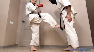 Karate ballbusting - WatchFighters