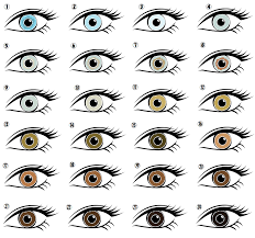 目の色の種類まとめ 世界の珍しい目の色や形をイラストで徹底解説