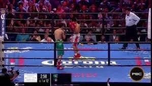 The last time he won a fight was against breilor teran in 2017, after this match he fought three times losing twice, with franklin manzanilla (julio ceja vs franklin manzanilla) and guillermo rigondeaux (guillermo rigondeaux vs julio ceja), and drawing against brandon figueroa (brandon figueroa vs julio ceja). Mark Magsayo S Devastating Ko Of Julio Ceja Magsayo Vs Ceja
