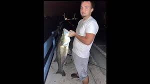 Jul 15, 2019 · and remember, if you want to catch snook from the beach, follow these steps: Tips For Fishing Onshsore On Anna Maria Island Bradenton Herald