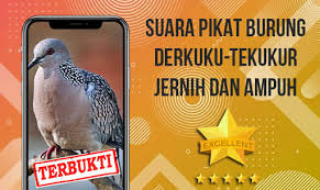 Use them as wallpapers for your mobile or desktop screens. Comparison Wallpaper Liga 1 Vs Suara Burung Derkuku Pikat Ampuh Durasi Panjang