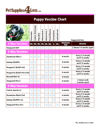 54 Logical Puppy Worming Schedule Chart