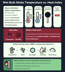 Image result for Heat Index