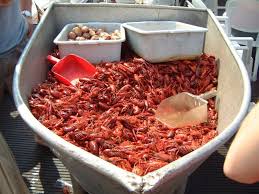 Crawfish Crawfish Boil Party Crawfish Boil Cajun Crawfish