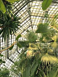 Im september sollen sich die pforten des gewächshauses öffnen. Botanischer Garten Berlin Dahlem Berlin Tipps Inspiration Travelcats