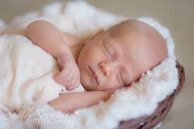 Shelly Schmidt Photography (@ShellySchmidtPhotography) • Facebook