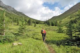 Mist Mountain Hot Springs: Nature'S Serene Oasis - Wander Woman Travel  Magazine