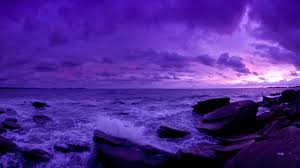 Check spelling or type a new query. 22 Purple Sunset Wallpapers Wallpaperboat