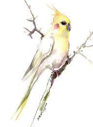 Cockatiel Artwork Nursery Wall Art Original Watercolor Art Original Watercolor Painting Original Watercolors