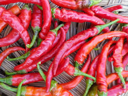 Cayenne Long Red Hot Pepper