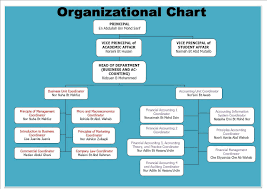 business and accounting department organizational chart for