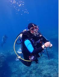 Berichte: Tauchsafari auf den Philippinen