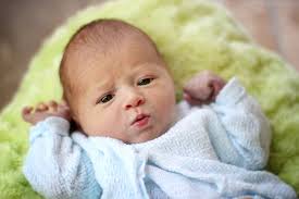 Little Moments Studio