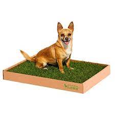 We did not find results for: Buy Doggielawn Real Grass Dog Potty Disposable Online In India B07k3ws97d