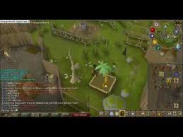 While the principles of pruning fruit trees do not change, the actual practices used in modern production systems vary. Runescape Farming Guide Fruit Tree Calquat Locations And How To Get There Youtube