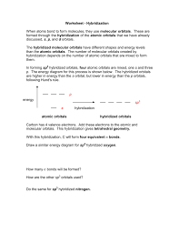 Worksheet Hybridization