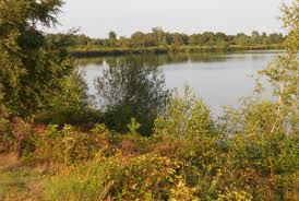 Column | als eigenaar van servicepunt maasduinen probeer ik er al geruime tijd achter te komen hoe en wie er nu verantwoordelijk is voor het promoten van het toerisme in onze. Nationalpark De Maasduinen Ausflugsziel In Der Nahe Des Ferienparks Weerterbergen