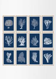 Navy Sea Coral Art Print Set Of 12 Unframed Navy Sea Coral Etsy Coral Art Print Floral Prints Art Coral Wall Art