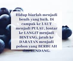 Cara memilih biji benih yang baik. Assalamualaikum Selamat Pagi Suzyhoney Herbs Jb Facebook